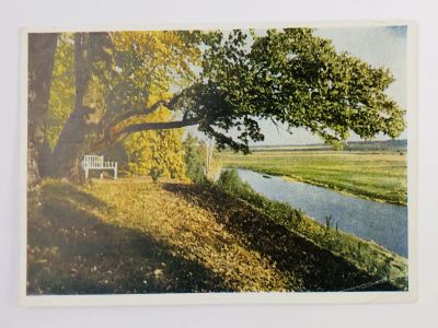Лот: 23297163. Фото: 1. Михайловское. Скамья Онегина... Открытки, конверты