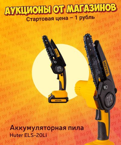 Лот: 25118648. Фото: 1. Аккумуляторная пила Huter ELS-20Li. Электроинструмент