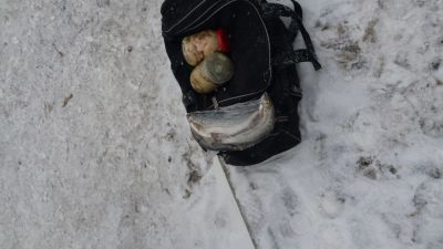 Лот: 10641183. Фото: 1. Хариус. Икра, рыба, морепродукты