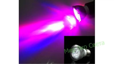 Лот: 7403399. Фото: 1. Лампа для растений Led MG 3W E27... Электронные лампы