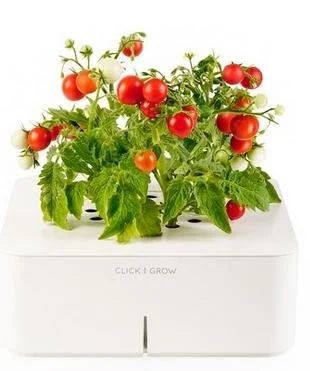 Лот: 9946389. Фото: 1. Домашний сад Click and grow. Вазы