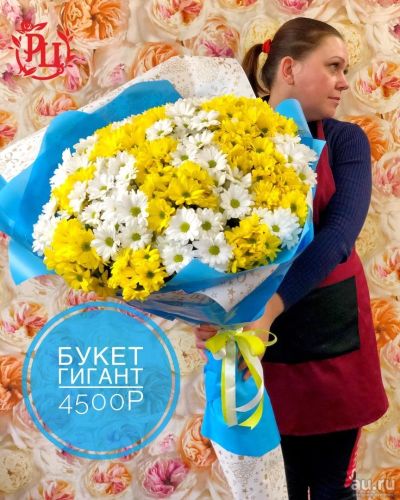 Лот: 13426902. Фото: 1. Лот № 72 Букет гигант из хризантемм... Свежие цветы