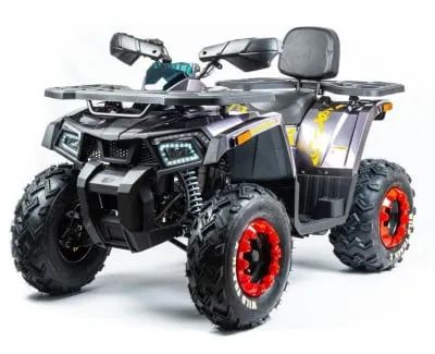 Лот: 25364884. Фото: 1. Квадроцикл MOTOLAND 200 Wild Track... Снегоходы, квадроциклы