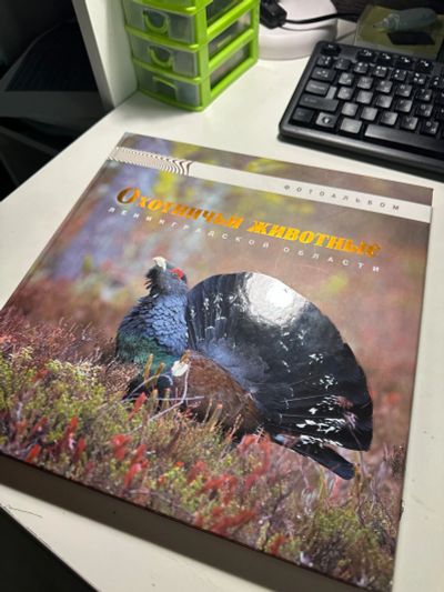 Лот: 22489054. Фото: 1. Книга «Охотничьи животные Ленинградской... Художественная
