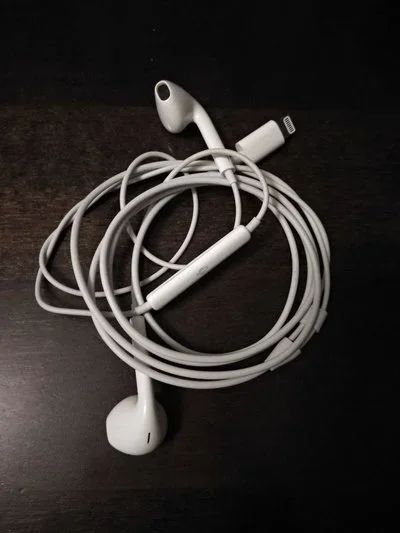 Apple EarPods Lightning Connector . Au.ru