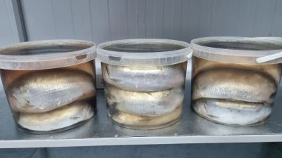 Лот: 20736981. Фото: 1. Сельдь каспийская с/с. Икра, рыба, морепродукты