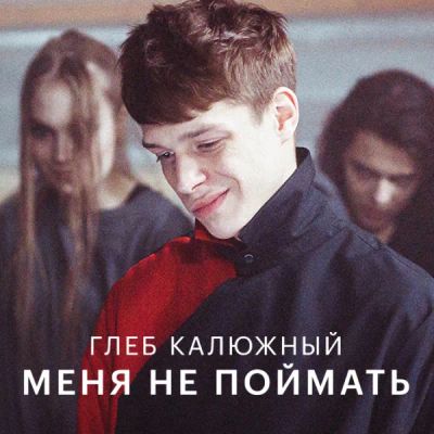 Лот: 24414122. Фото: 1. Глеб Калюжный — Меня не поймать. Видеозаписи, фильмы