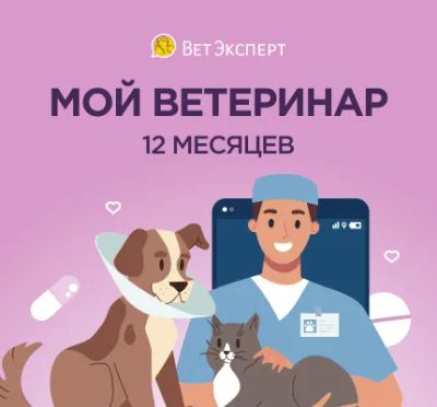 Лот: 22218056. Фото: 1. Сертификат ВетЭксперт на 12 месяцев. Другое (компьютерные игры, игровые аккаунты, по)