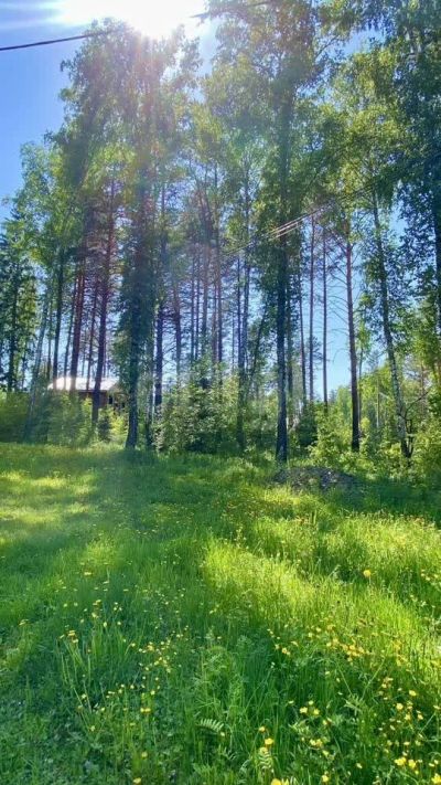 Лот: 25646373. Фото: 1. участок , село Овсянка улица Новосёлов-2... Земельные участки
