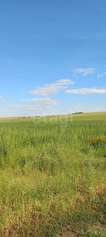 Лот: 25578904. Фото: 1. участок , посёлок городского типа... Земельные участки