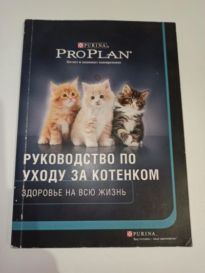 Лот: 15764289. Фото: 1. Руководство по уходу за котёнком. Другое (литература, книги)