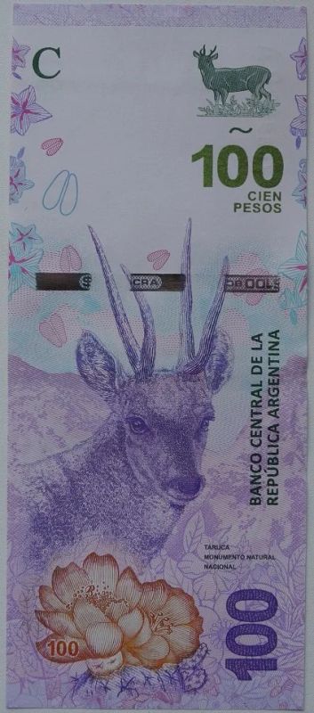 Лот: 13337507. Фото: 1. Аргентина 100 песо 2018, без оборота. Америка