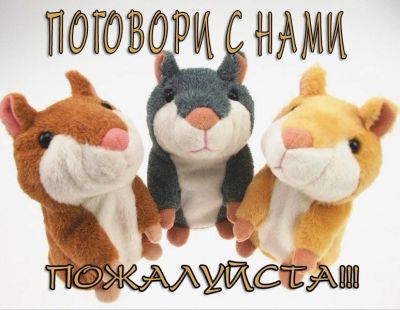 Лот: 3523043. Фото: 1. Говорящий хомяк повторюшка осталось... Музыкальные