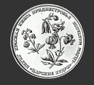 Лот: 14533334. Фото: 1. Приднестровье 1 рубль 2019 Красная... Европа