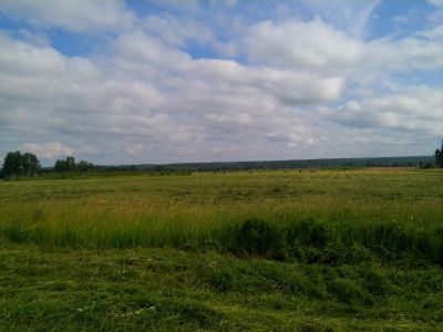 Лот: 4164044. Фото: 1. Земля сельхоз назначения Большая... Земельные участки