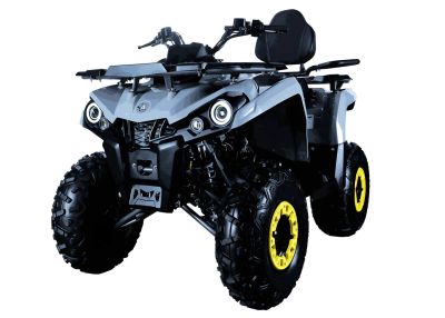 Лот: 25745818. Фото: 1. Квадроцикл AVANTIS Forester Long... Снегоходы, квадроциклы