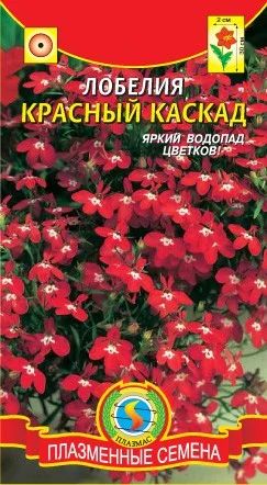 Лот: 4154393. Фото: 1. Рассада лобелии красной каскадной. Другое (семена, рассада, садовые растения)