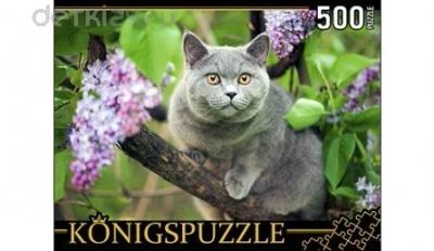 Лот: 10500001. Фото: 1. Пазлы "Konigspuzzle. Британская... Пазлы