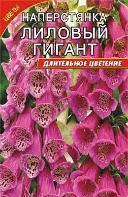 Лот: 4212900. Фото: 1. Наперстянка "Лиловый гигант". Другое (семена, рассада, садовые растения)