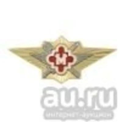 Лот: 13597877. Фото: 1. Значок мет. Классность ФСИН Мастер. Обмундирование