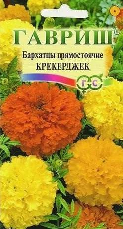 Лот: 11024227. Фото: 1. Бархатцы пр. Крекерджек 0,3 г. Садовые цветы