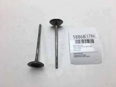 Лот: 20399644. Фото: 1. Клапан впускной Bmw 3-Series 2005... Двигатель и элементы двигателя