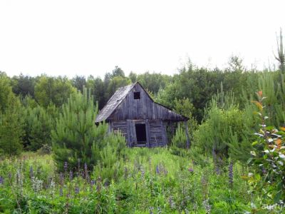 Лот: 12999333. Фото: 1. Приму в дар заброшенную дачу... Дачи