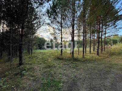 Лот: 25294538. Фото: 1. участок , СНТ Рось СНТ Рось, 37... Земельные участки