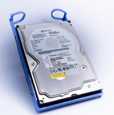 Лот: 11294709. Фото: 1. Жесткий диск WD 250 Gb 250 Гб... Жёсткие диски (HDD)