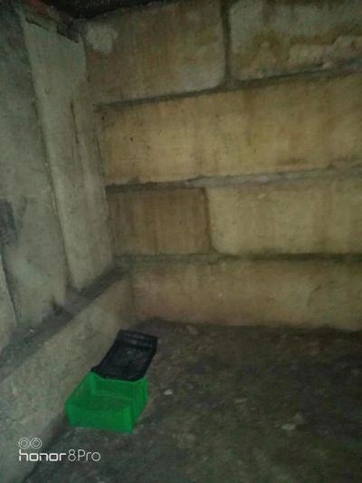 Лот: 14704695. Фото: 1. Овощехранилище (подвал). Подвалы, погреба, кладовые
