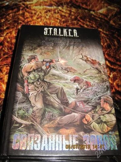 Лот: 2956839. Фото: 1. Серия S.T.A.L.K.E.R. Р. Куликов... Художественная