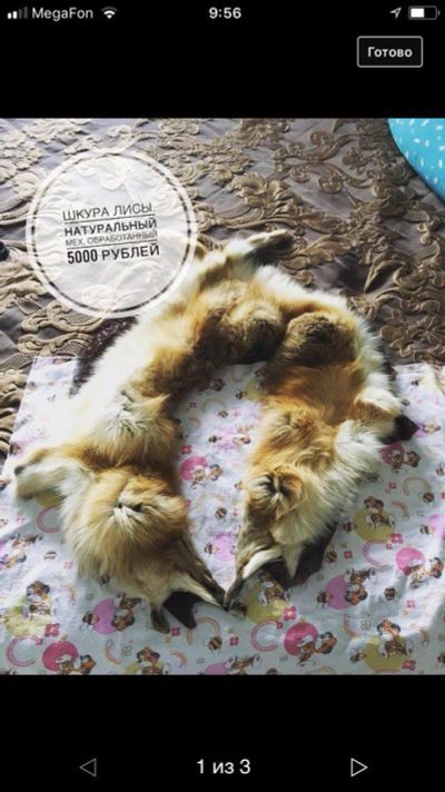 Лот: 10365455. Фото: 1. Жилетка из меха лисы. Другое (женская одежда)