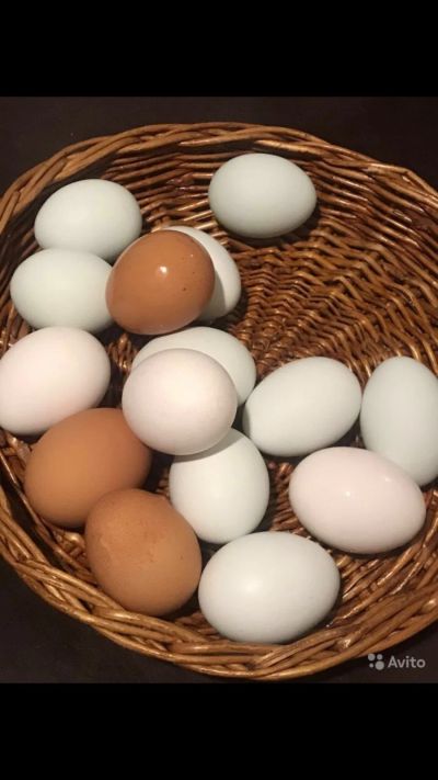 Лот: 19072139. Фото: 1. Домашние яйцо. Мясо, птица, яйцо