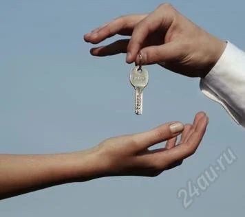 Лот: 1569270. Фото: 1. Сдам 1комнатную, светлогорский... Квартиры, студии