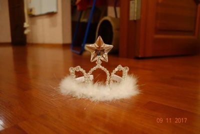 Лот: 10594302. Фото: 1. Корона диадема на Новый год. Другое (одежда и аксессуары)