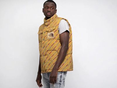 Лот: 18825332. Фото: 1. Жилет The North Face x Gucci... Свитеры, толстовки, худи