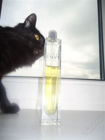 Лот: 2030159. Фото: 1. туалетная вода Gucci Envy . 60мл... Женская парфюмерия