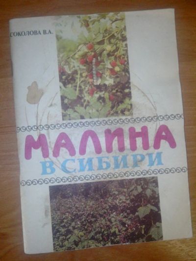 Лот: 10680737. Фото: 1. Малина в сибири Соколова В.А... Другое (учебники и методическая литература)