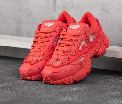 Лот: 11450774. Фото: 1. Adidas Ozweego 2 x Raf Simons... Кеды, кроссовки, слипоны
