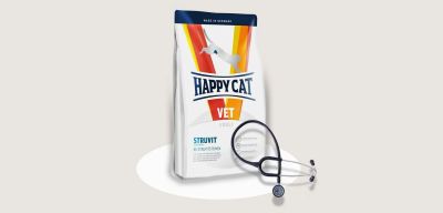 Лот: 11842109. Фото: 1. Happy Cat (Хэппи Кэт) 1,4кг сухой... Корма
