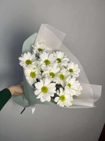 Лот: 25354190. Фото: 1. 3. Букет-комплимент из хризантем. Свежие цветы