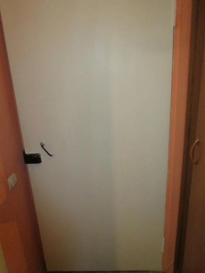 Лот: 4967021. Фото: 1. дверь. Двери входные