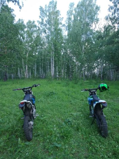 Лот: 16324391. Фото: 1. Куплю питбайк б/у не исправный... Мотоциклы