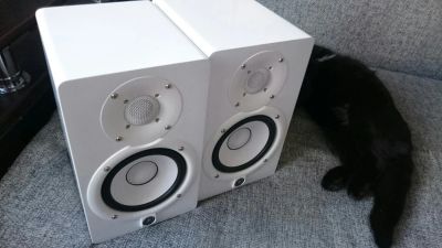 Лот: 7660956. Фото: 1. Студийные мониторы Yamaha HS5. Другое (профессиональный звук)