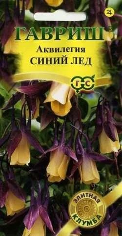 Лот: 11024157. Фото: 1. Аквилегия Синий лед* 10 шт сер... Садовые цветы