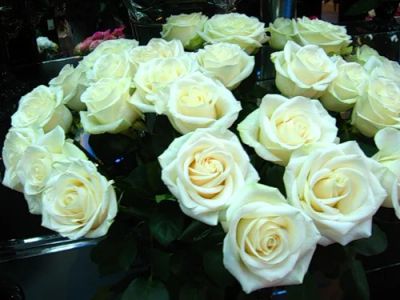 Лот: 2971838. Фото: 1. 51 белая роза + бесплатная доставка. Другое (растения и животные)