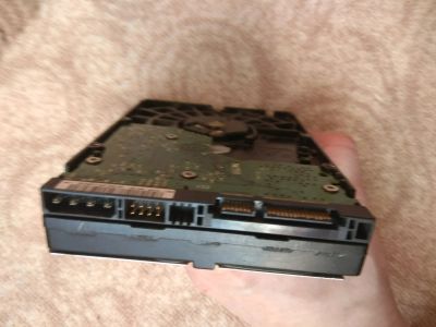 Лот: 11157915. Фото: 1. Western Digital 160 gb. Жёсткие диски (HDD)