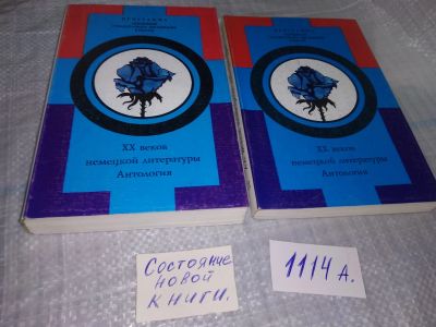 Лот: 18796306. Фото: 1. XX Двадцать веков немецкой литературы... Другое (учебники и методическая литература)