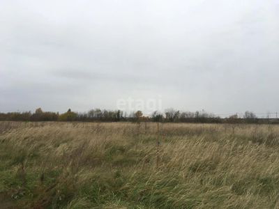 Лот: 25292614. Фото: 1. участок , Сосновоборск Сосновоборск... Земельные участки