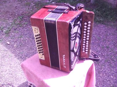 Лот: 10224540. Фото: 1. Гармонь - Чайка 2. Баяны, аккордеоны, гармони